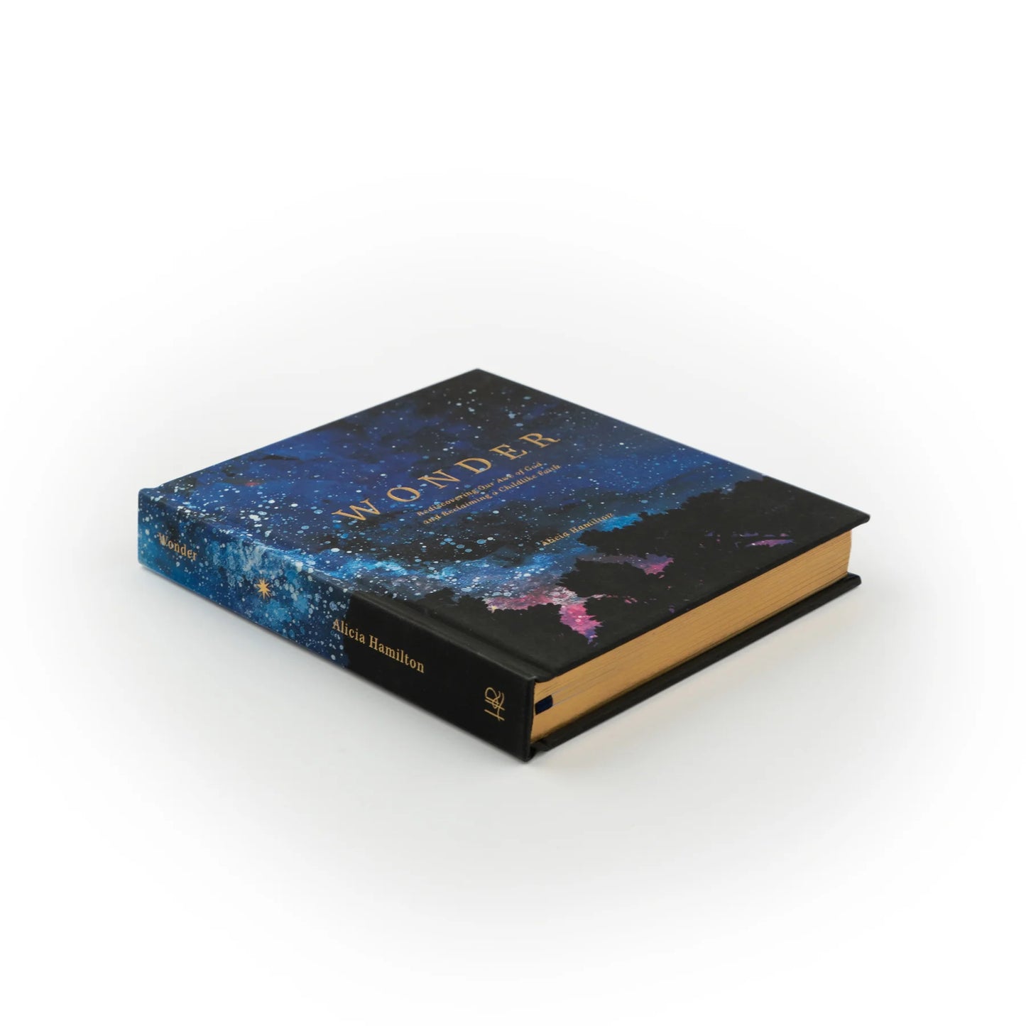 Bible Study: Wonder by Alicia Hamilton