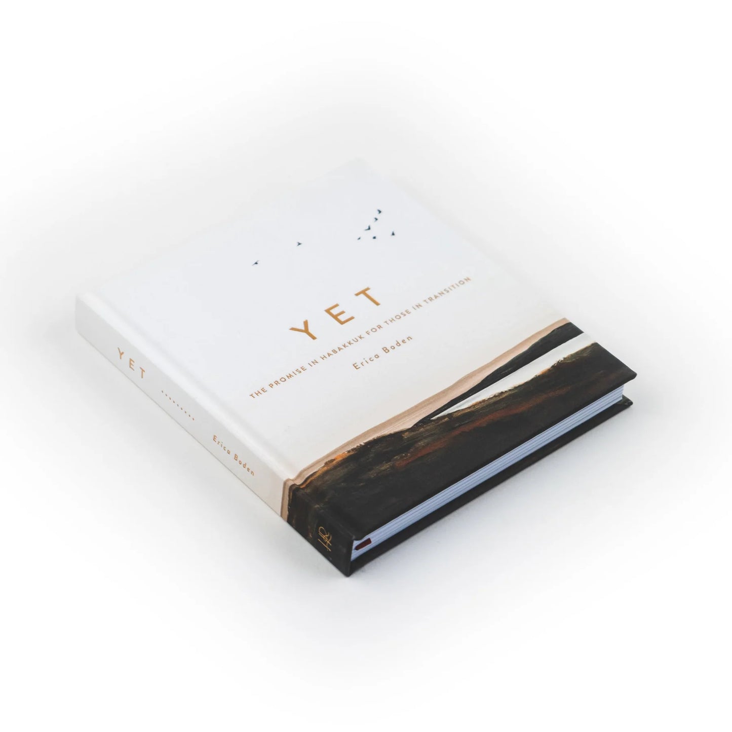Bible Study: Yet (Study in Habakkuk) by Erica Boden