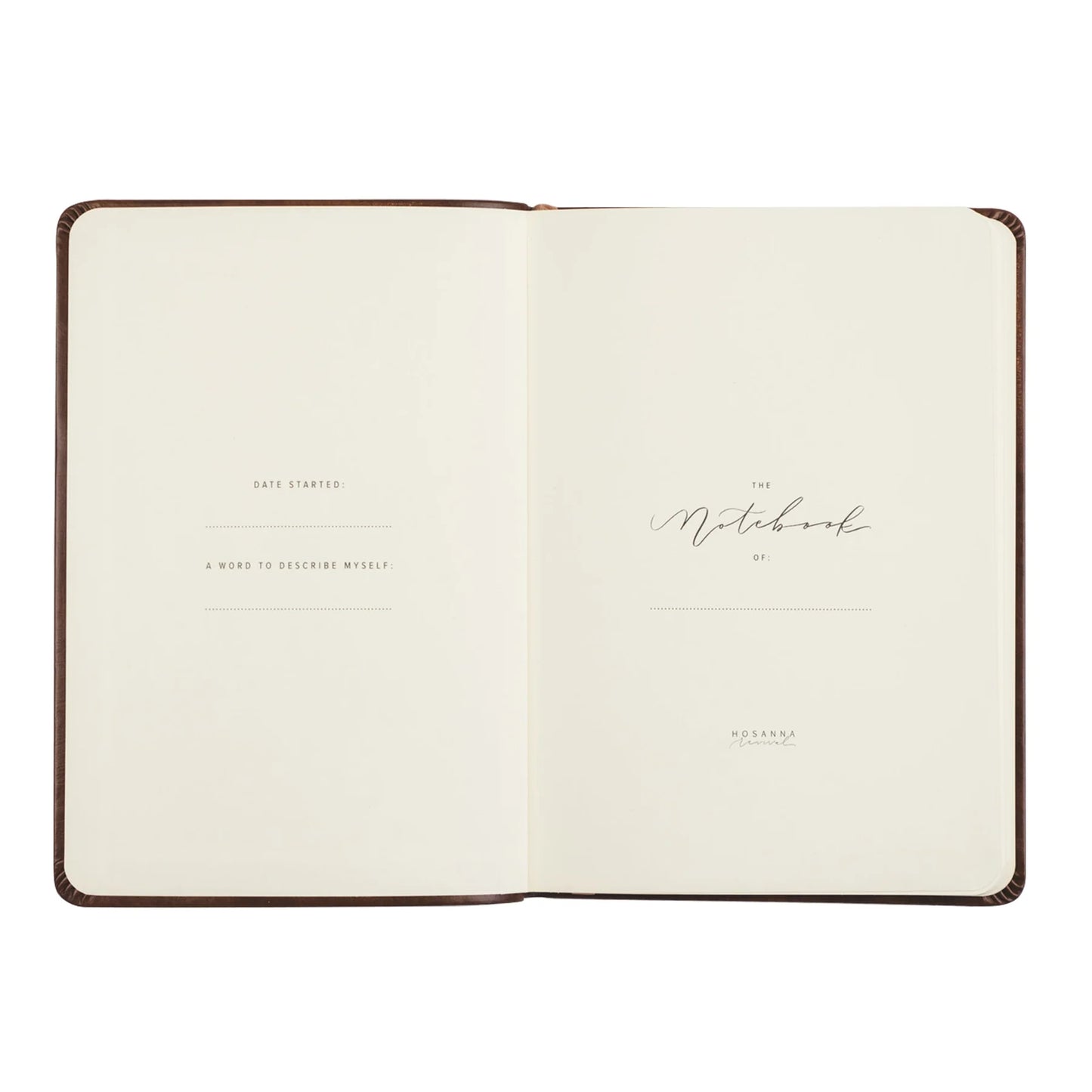 Notebook: Aurora Theme