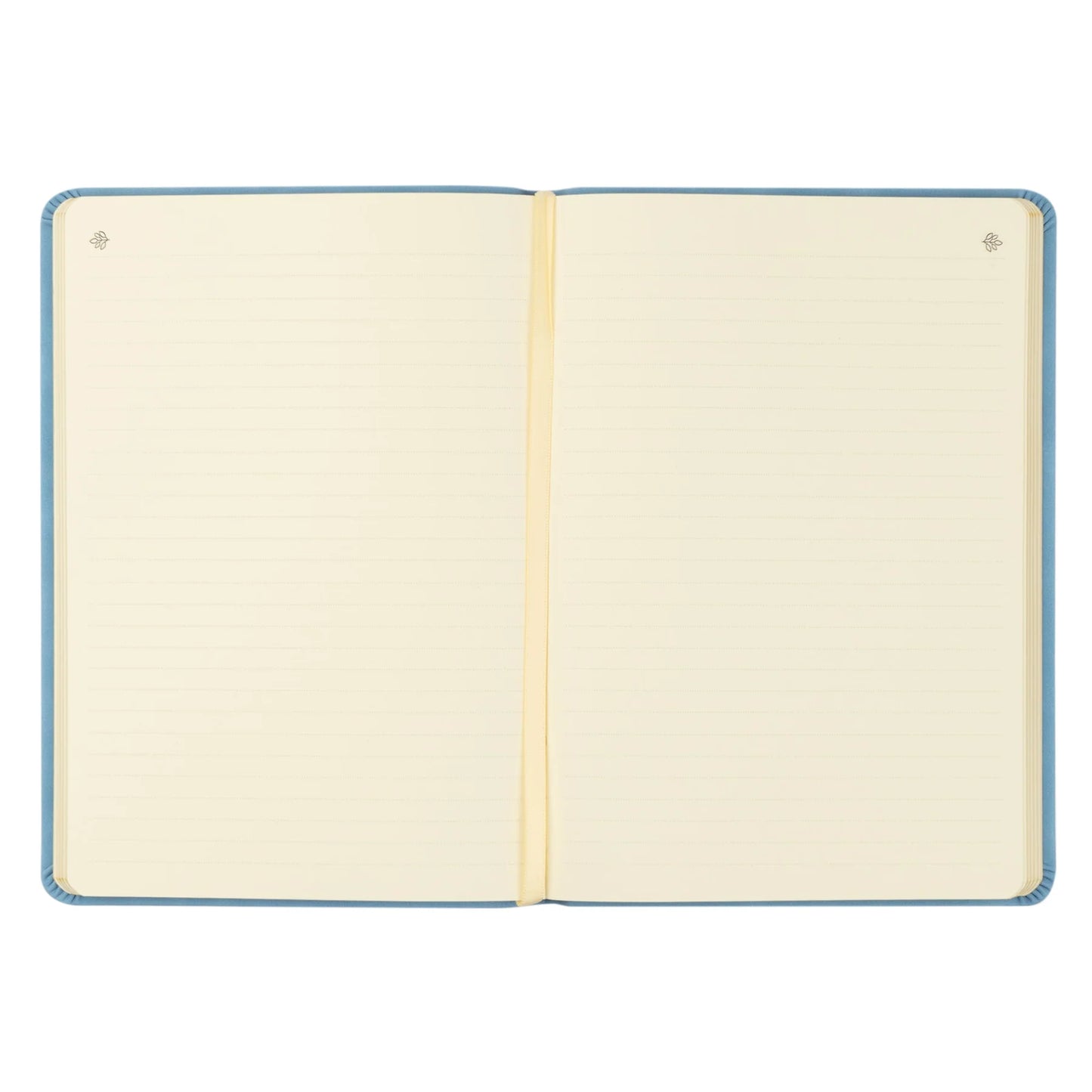 Notebook: Bethany Theme