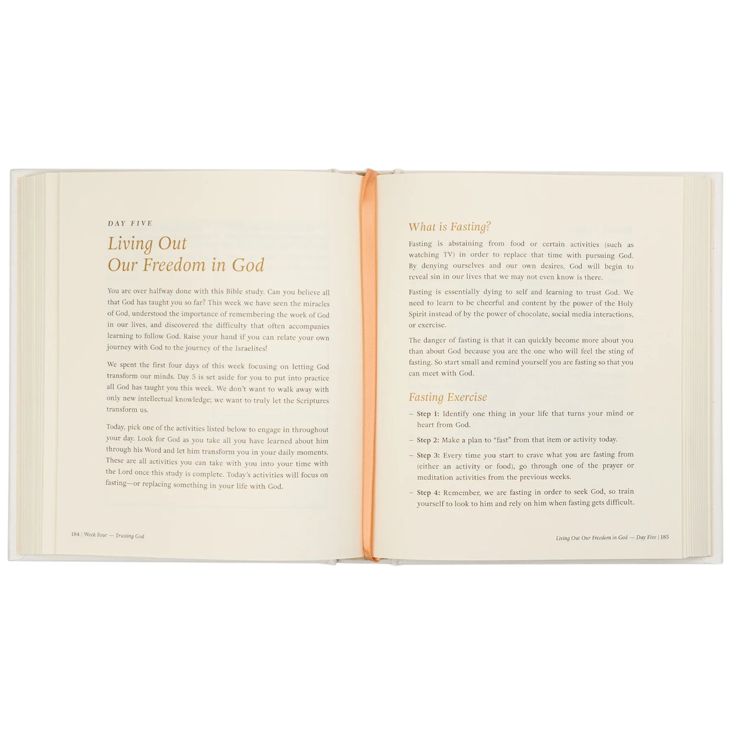 Bible Study: Beyond Egypt by Kari Minter