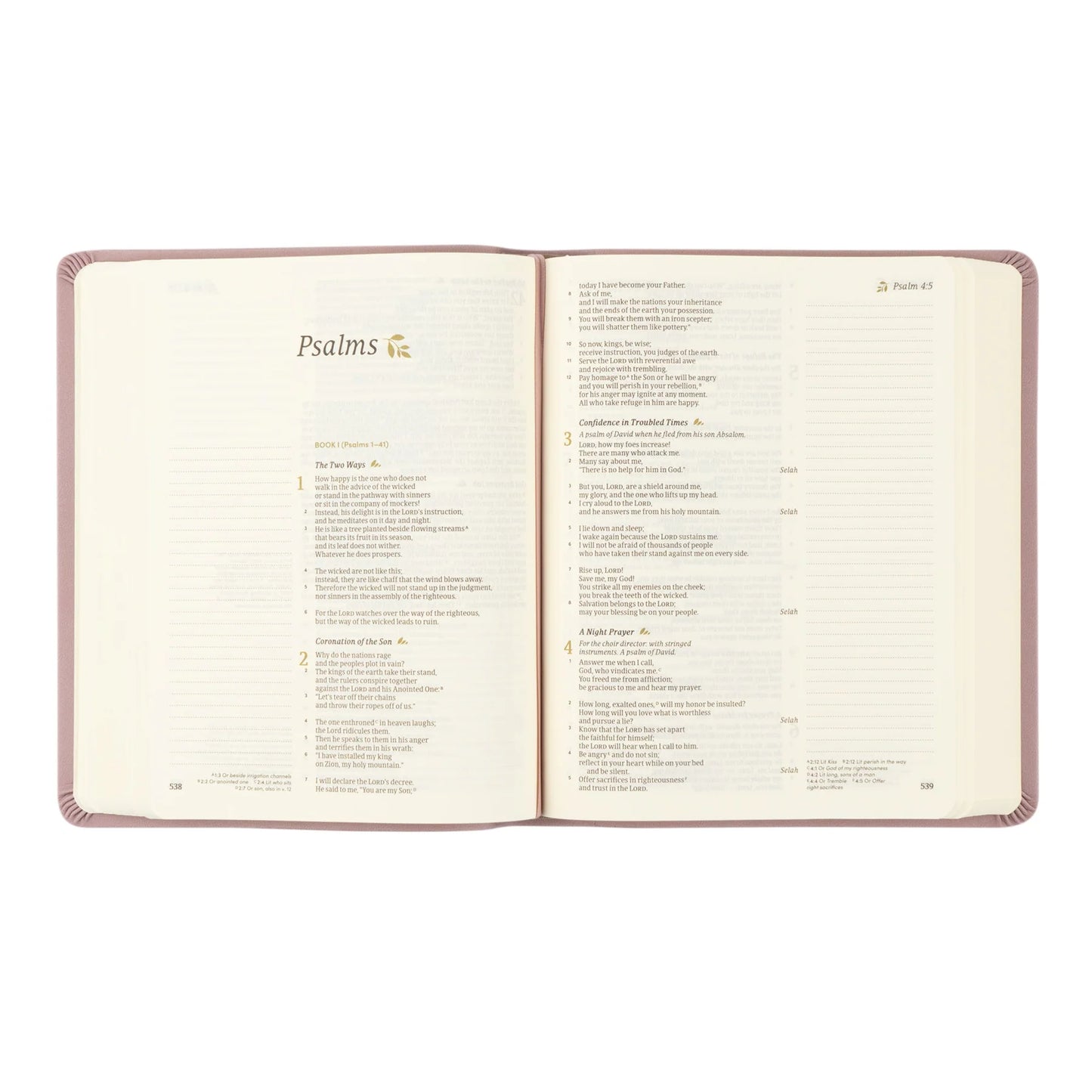 CSB Notetaking Bible: Mauves Theme