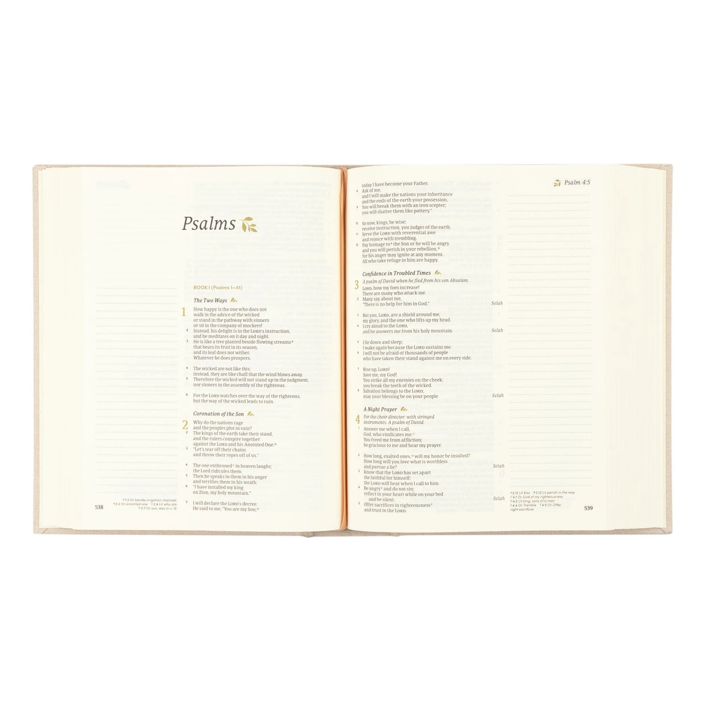 CSB Notetaking Bible: Oxford Theme