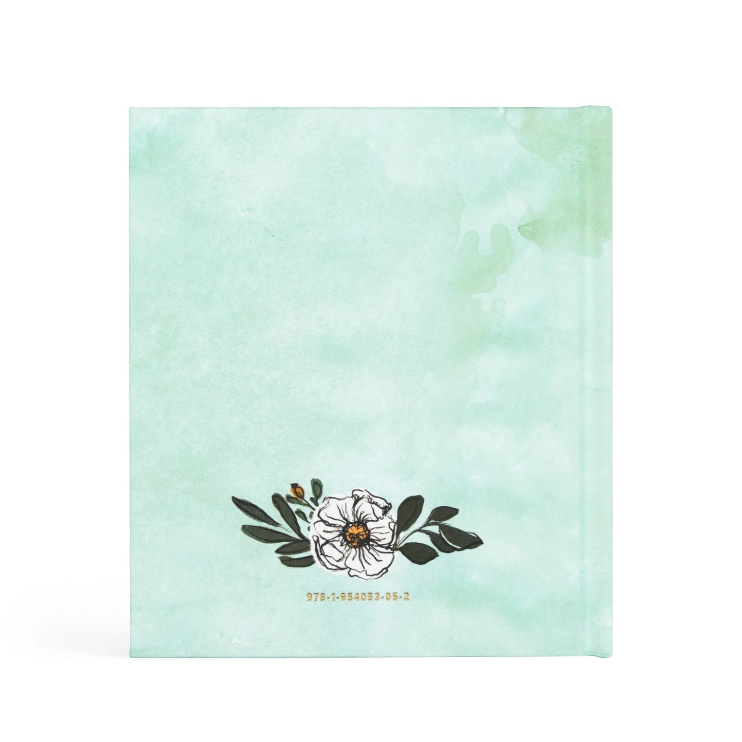Bible Study: Rooted to Rise by Haley Crabtree, a Study for High School Girls