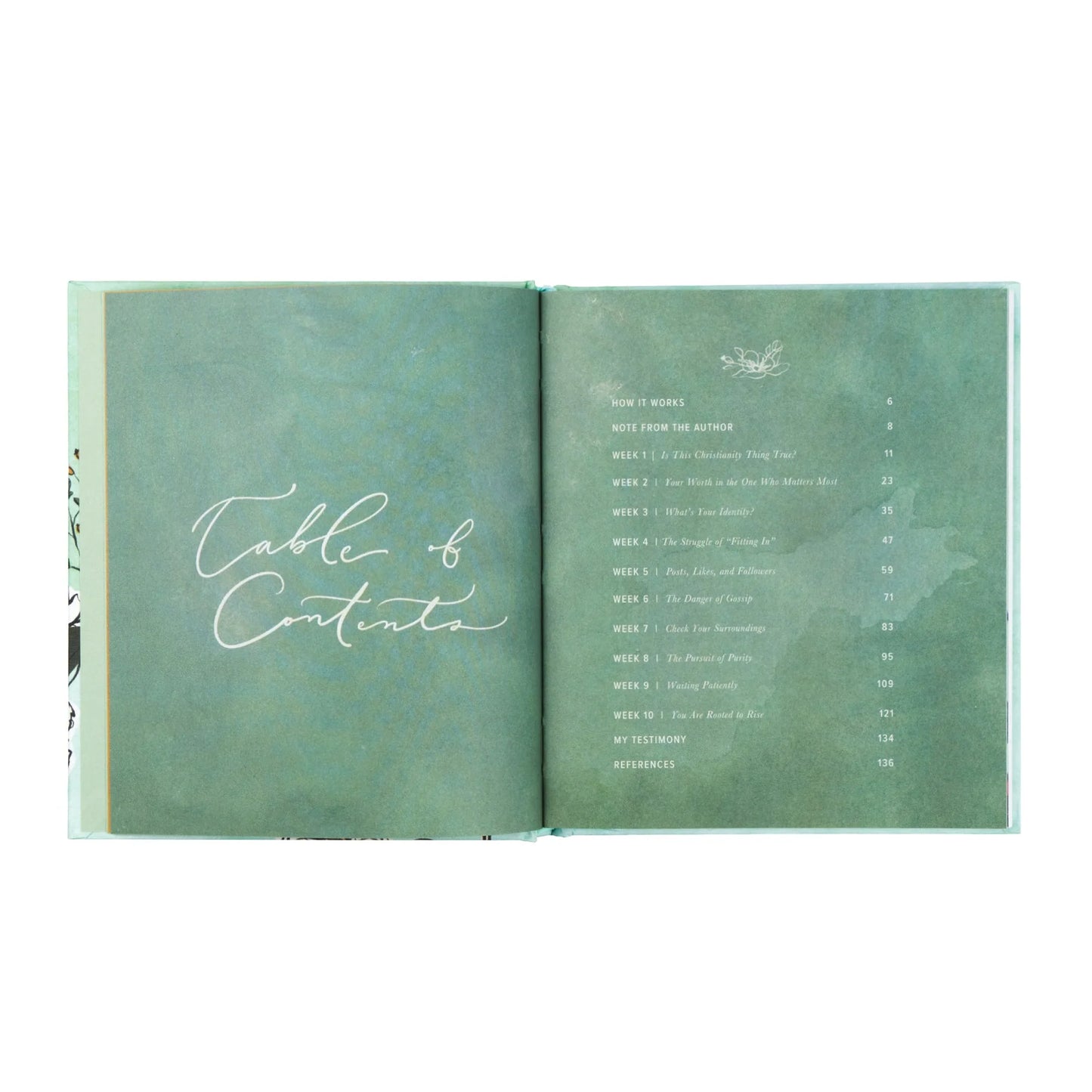 Bible Study: Rooted to Rise by Haley Crabtree, a Study for High School Girls