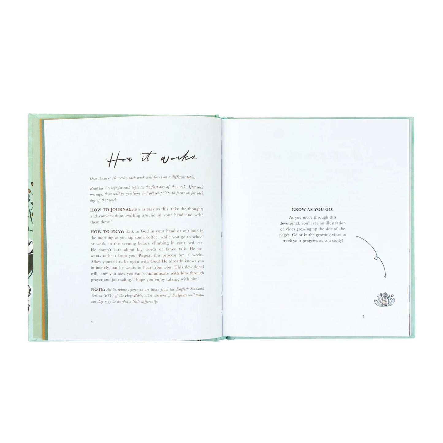 Bible Study: Rooted to Rise by Haley Crabtree, a Study for High School Girls