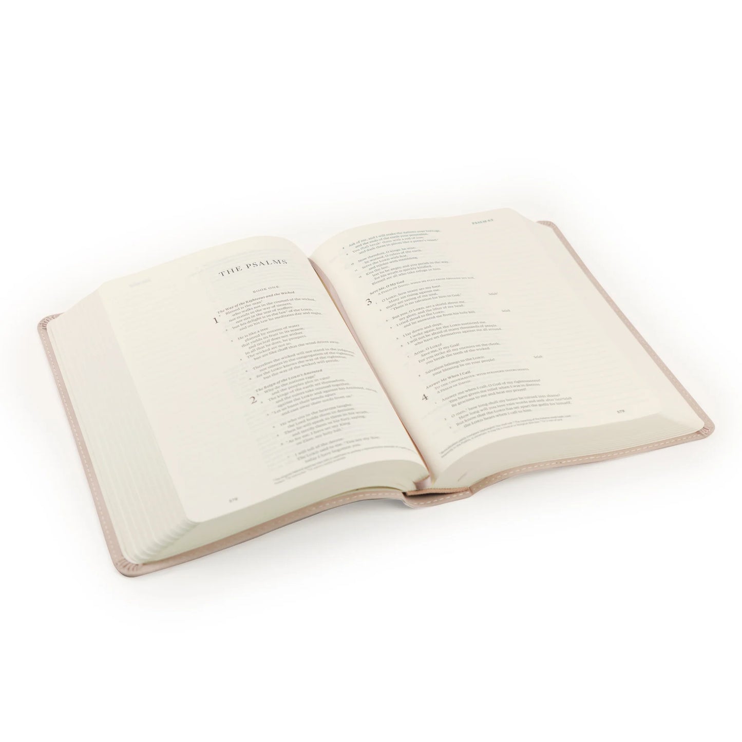 ESV Journaling Bible: Shiloh Theme
