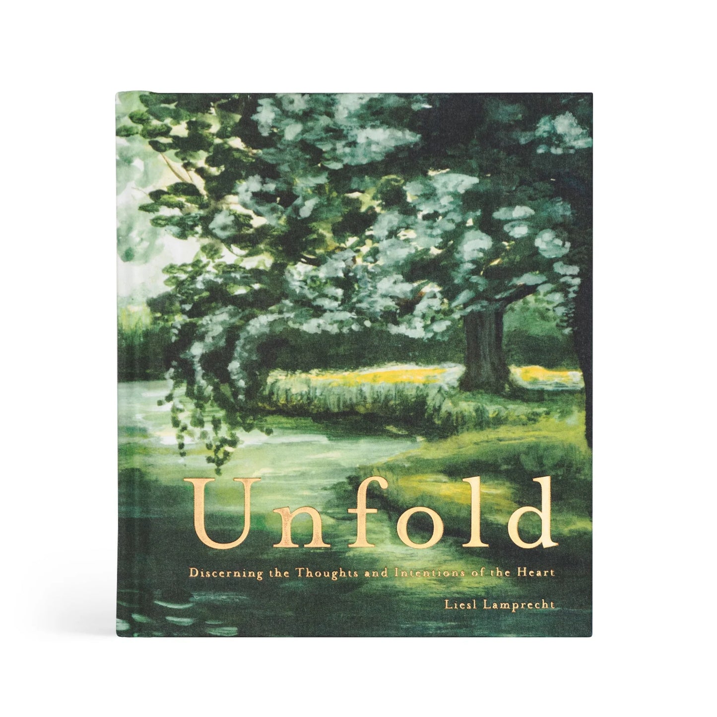 Bible Study: Unfold by Liesl Lamprecht