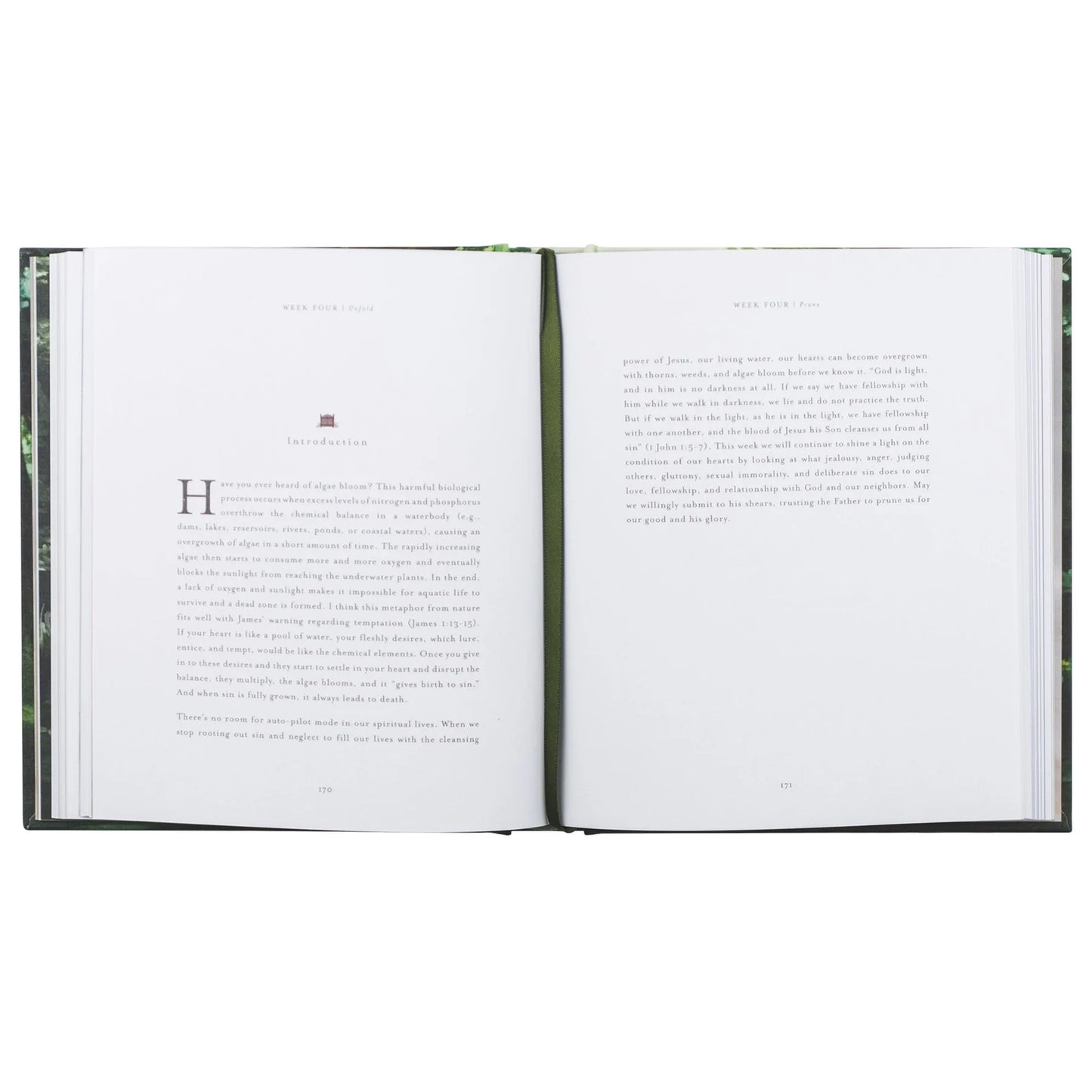 Bible Study: Unfold by Liesl Lamprecht
