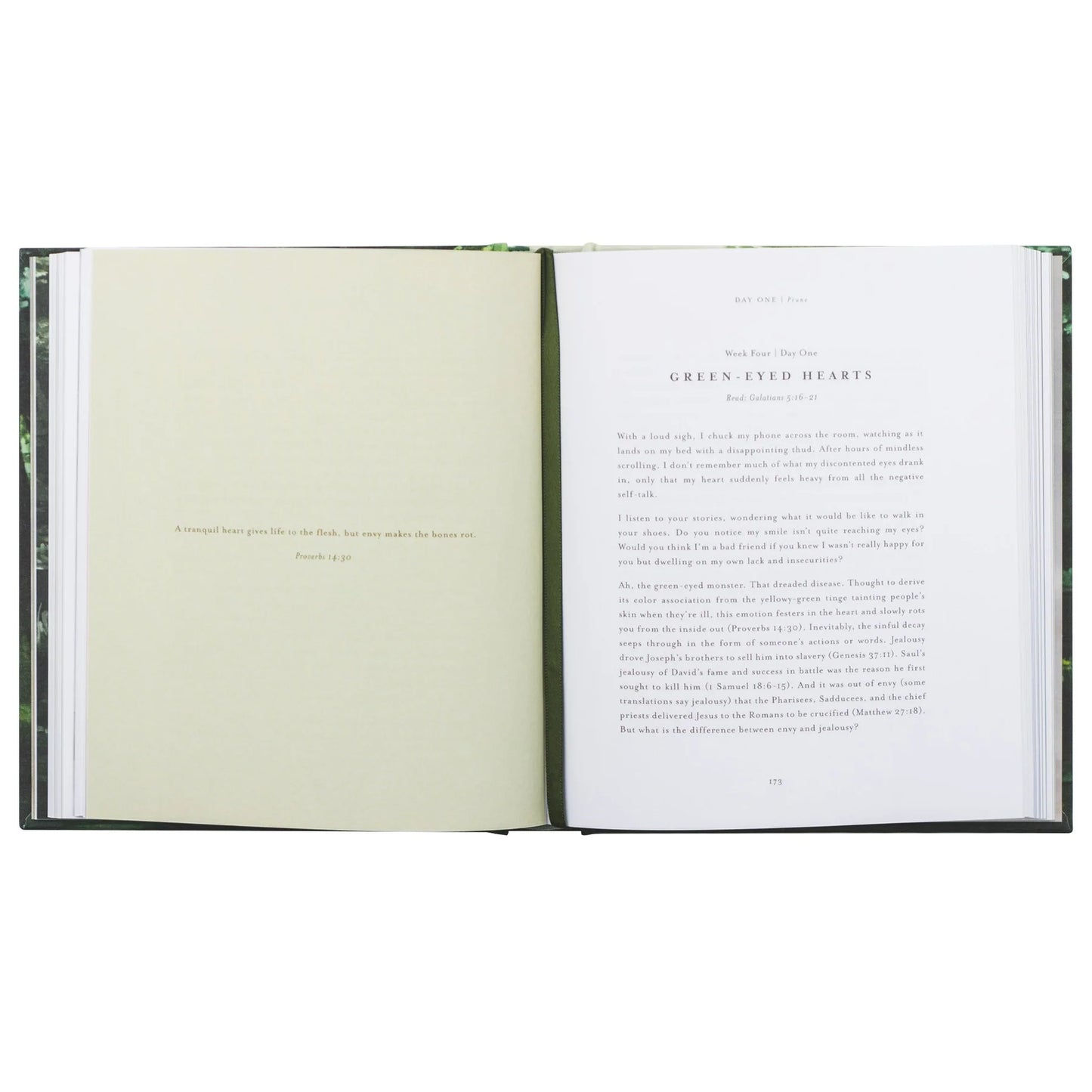Bible Study: Unfold by Liesl Lamprecht