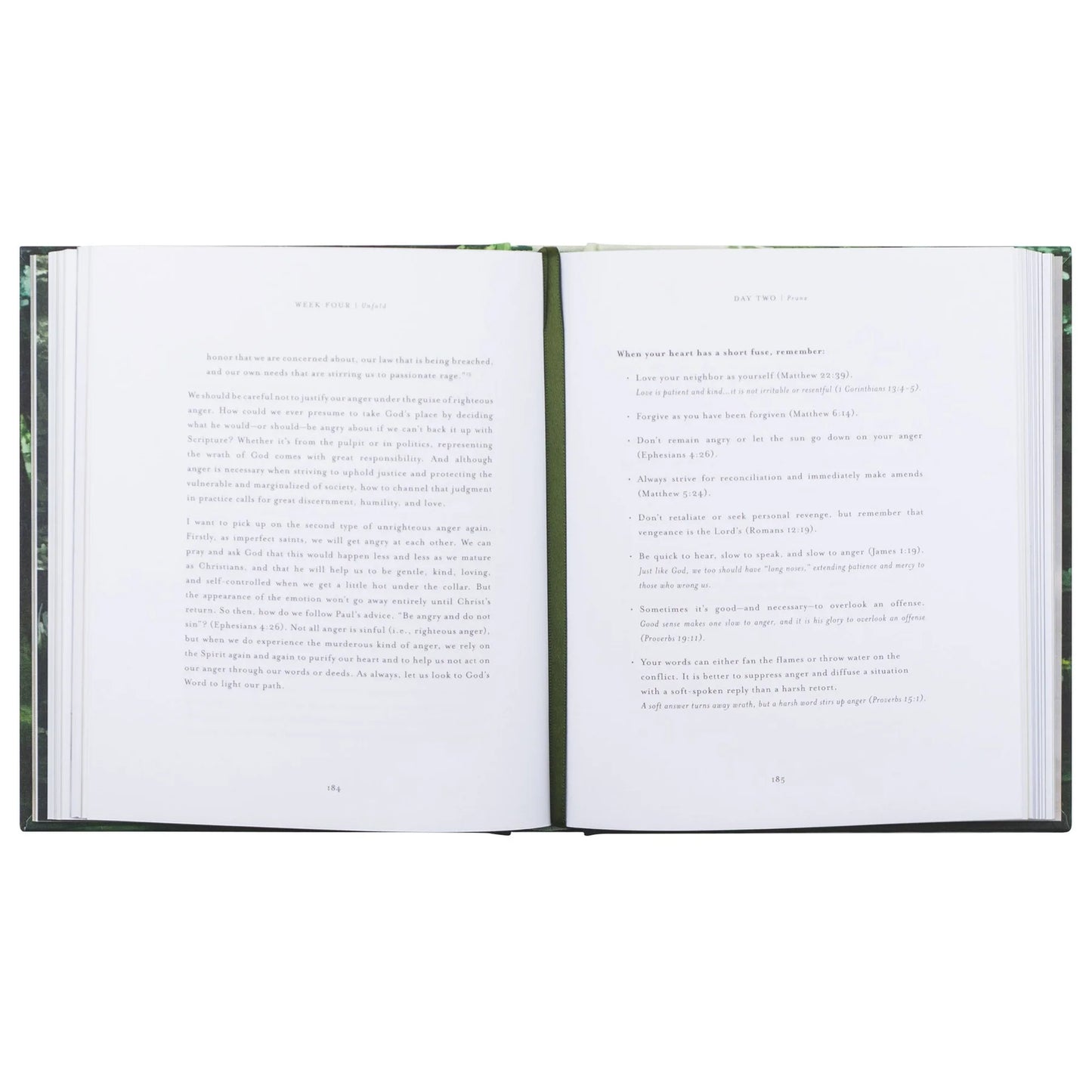 Bible Study: Unfold by Liesl Lamprecht