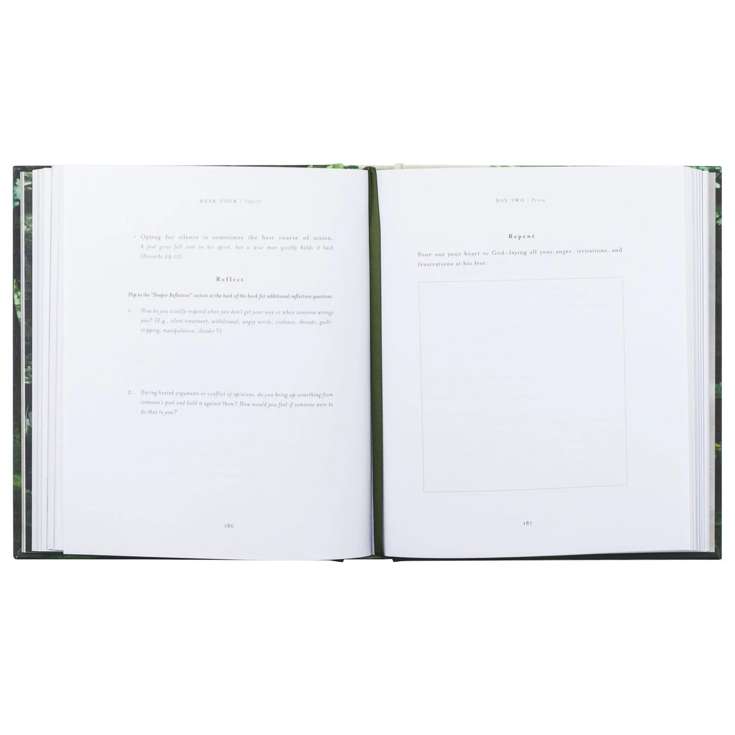 Bible Study: Unfold by Liesl Lamprecht