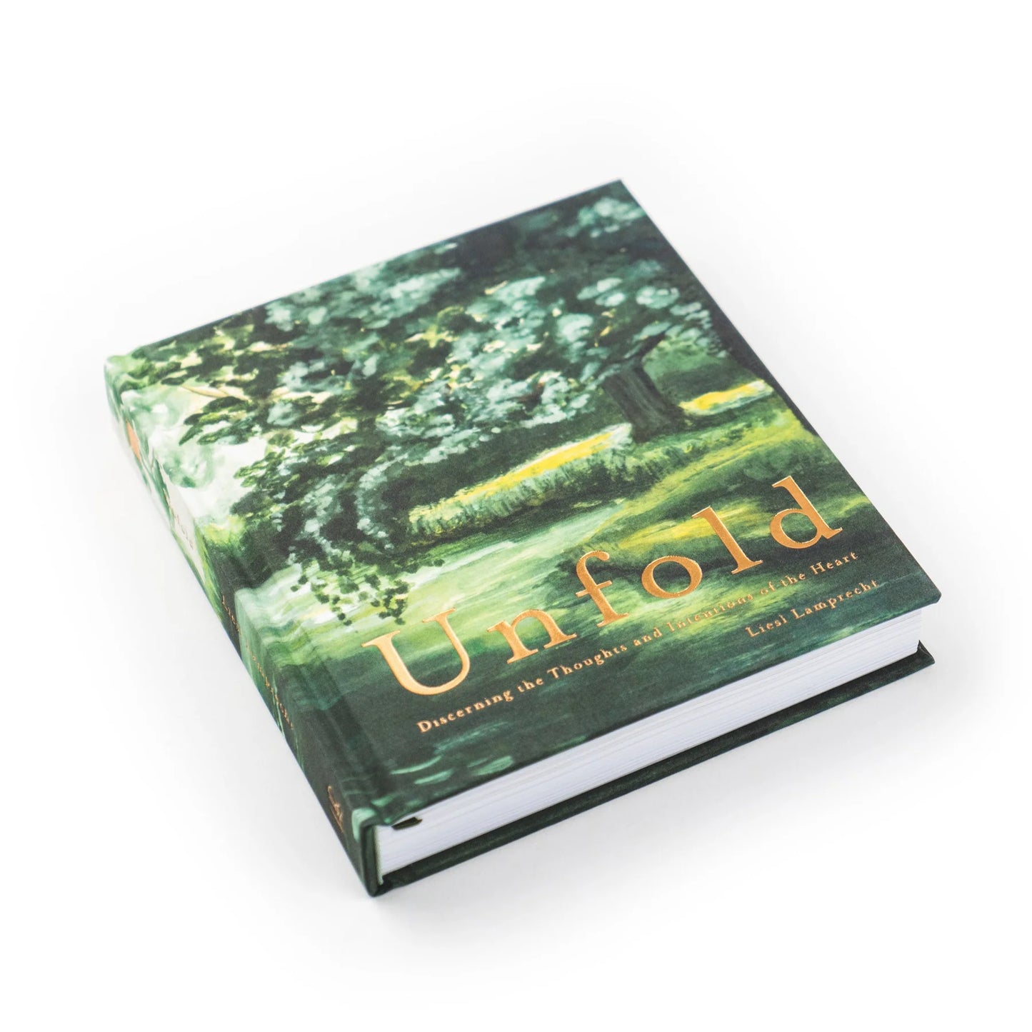 Bible Study: Unfold by Liesl Lamprecht