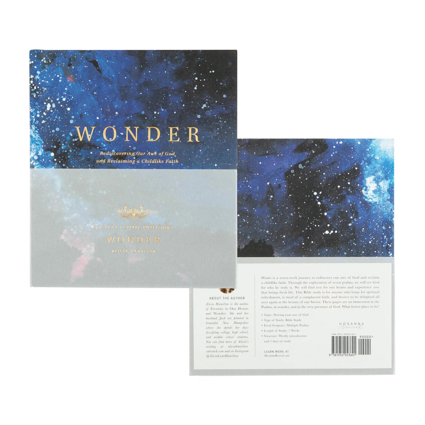 Bible Study: Wonder by Alicia Hamilton
