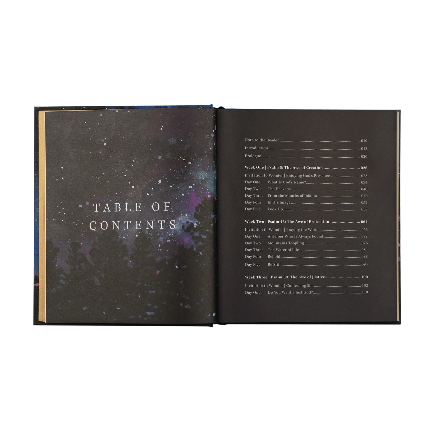 Bible Study: Wonder by Alicia Hamilton