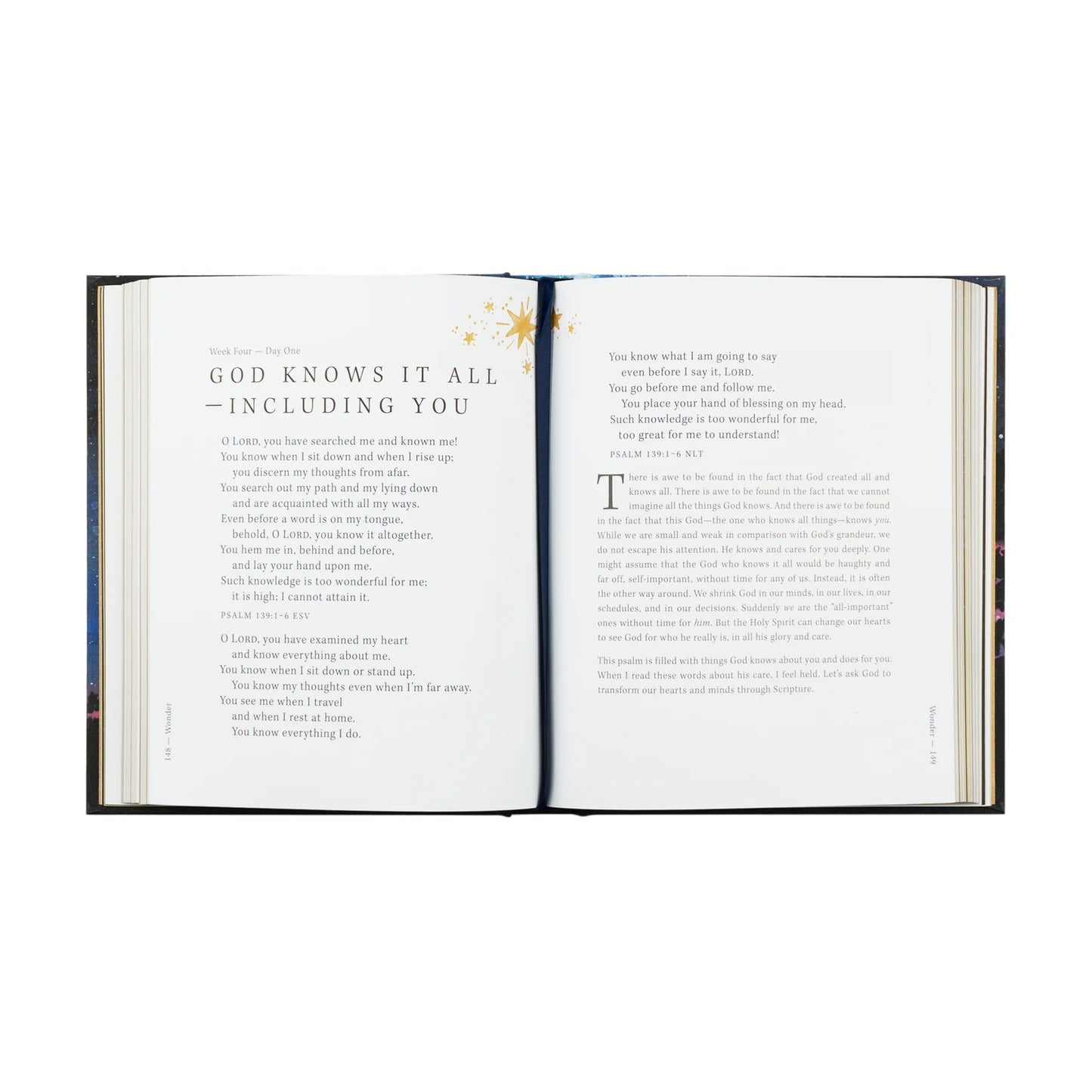 Bible Study: Wonder by Alicia Hamilton