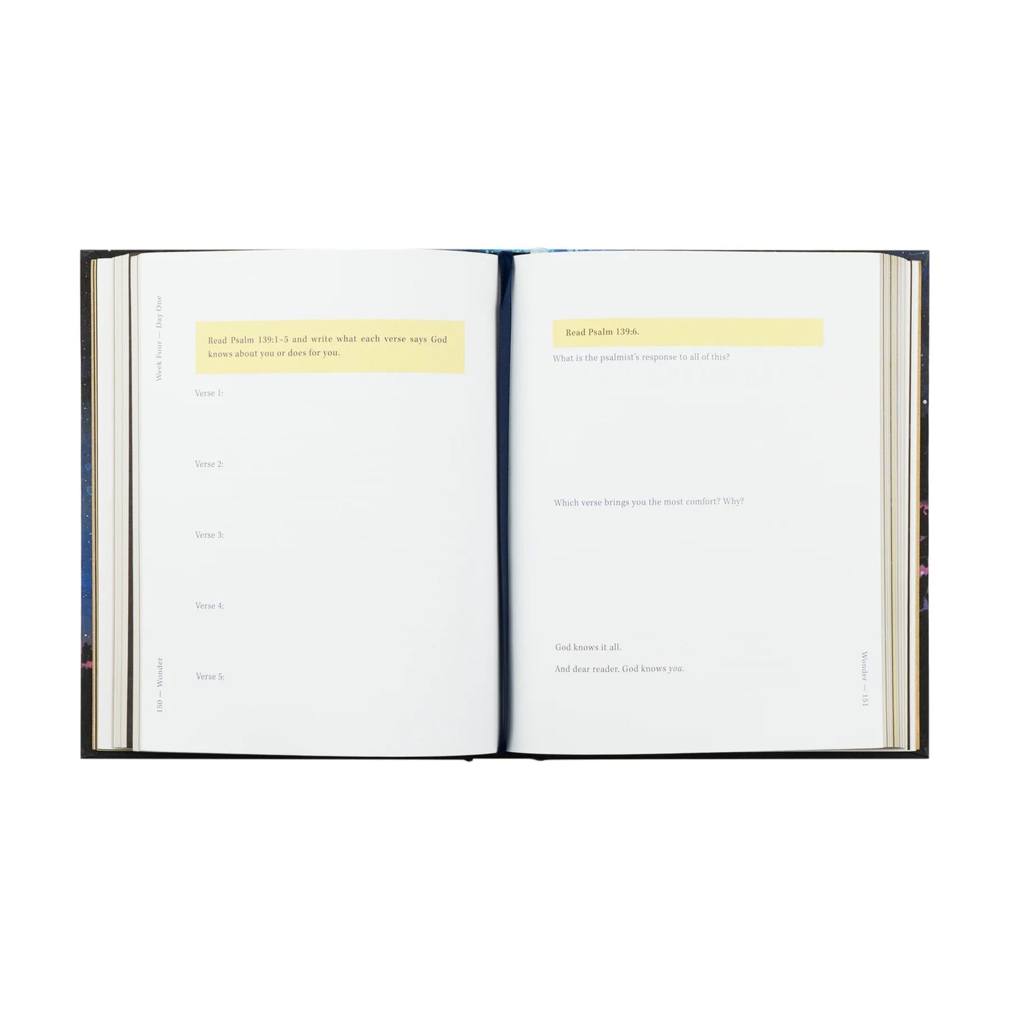 Bible Study: Wonder by Alicia Hamilton