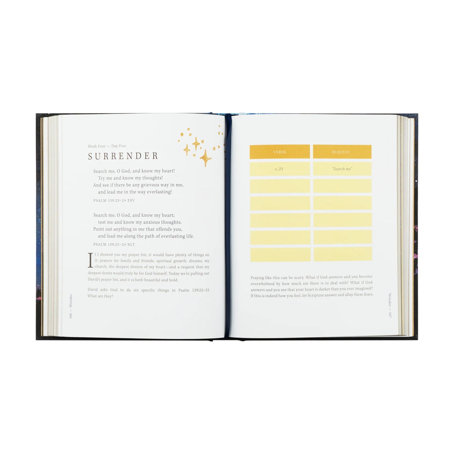 Bible Study: Wonder by Alicia Hamilton