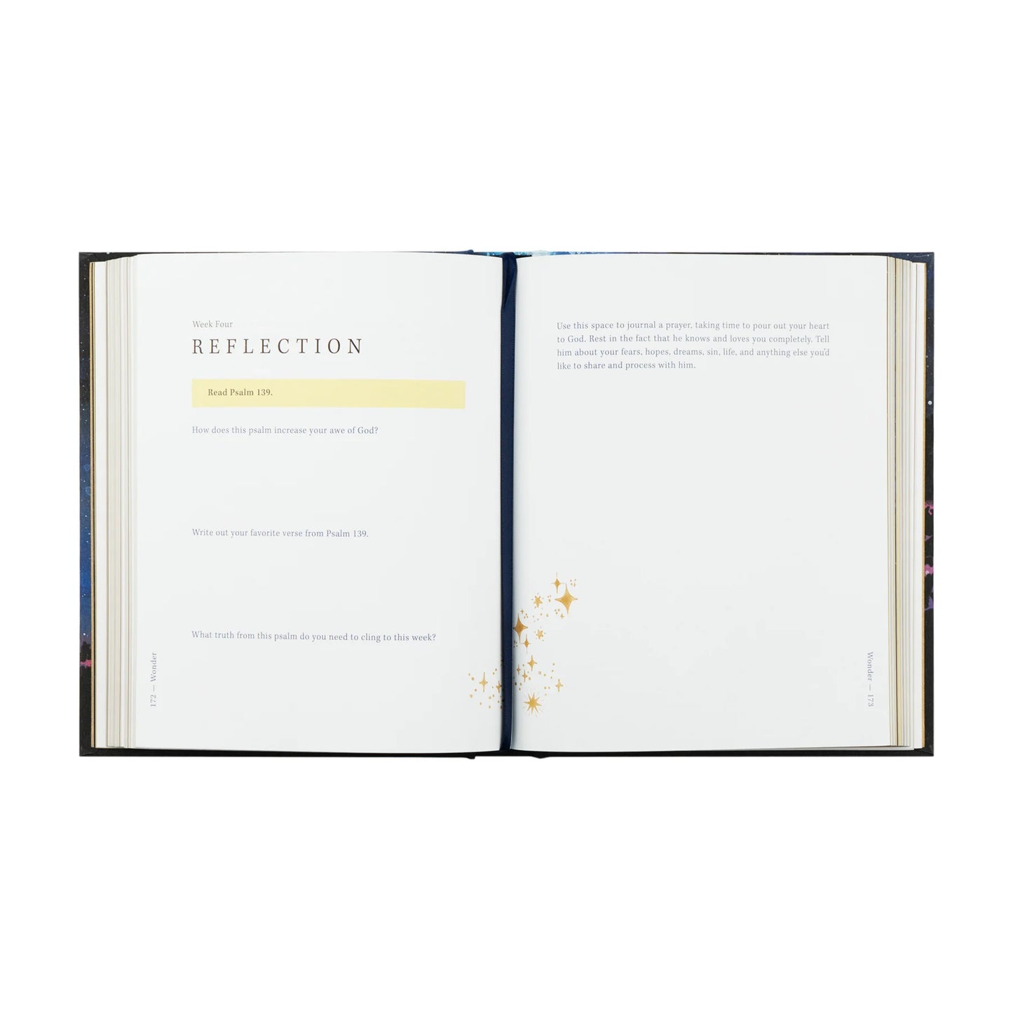 Bible Study: Wonder by Alicia Hamilton